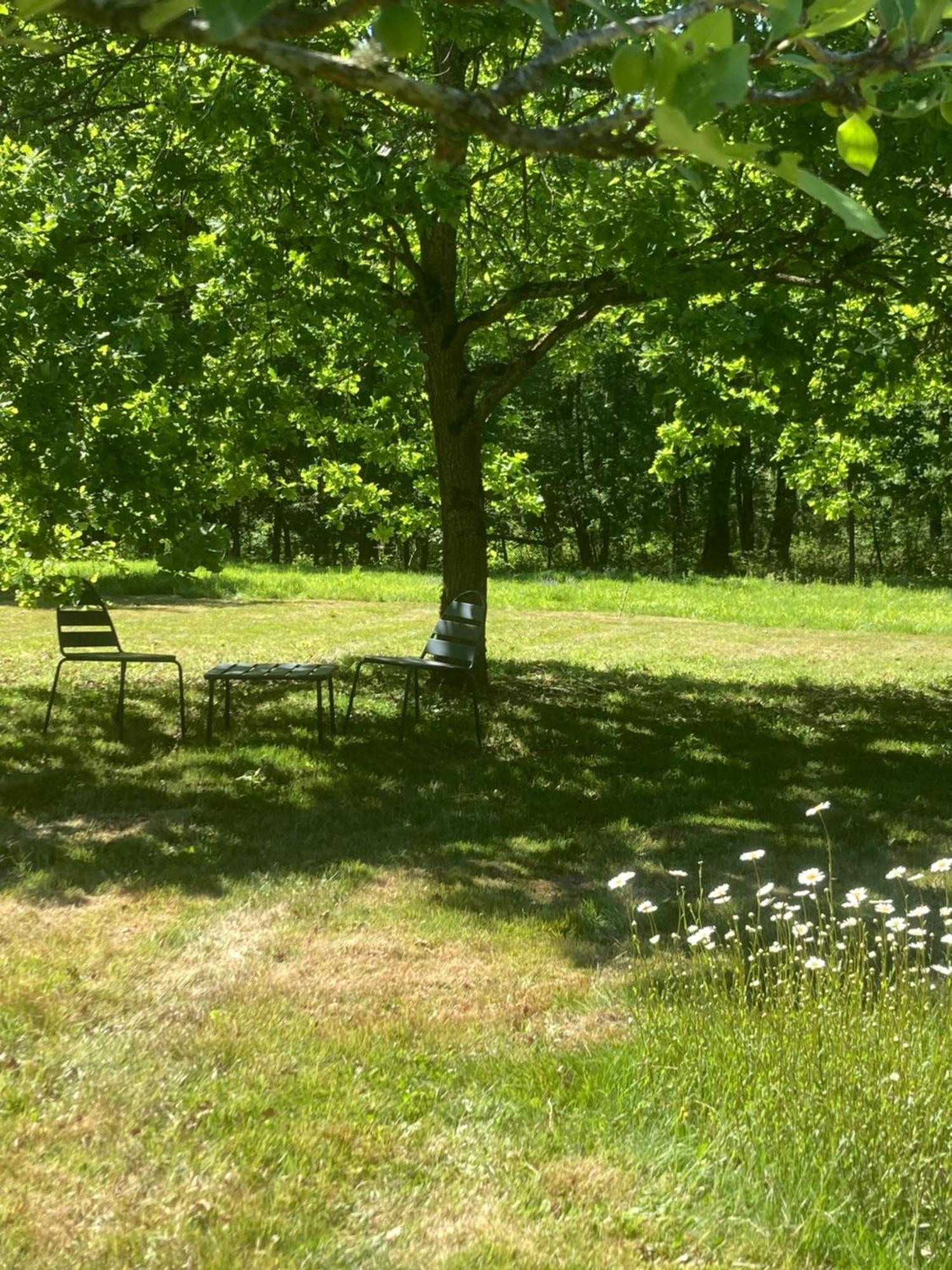 Les Bois De Ravel Chambres D'Hotes Kültér fotó